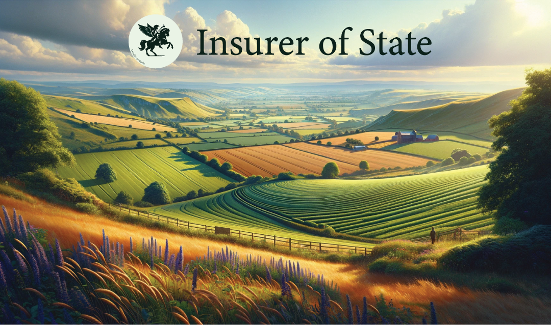 The Insurer of State